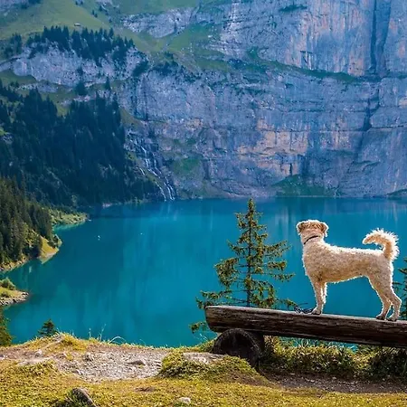 Zentral I 20min Nach Interlaken Apartmán *
