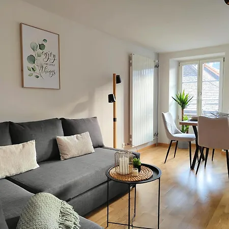 Zentral I 20min Nach Interlaken Apartament Frutigen