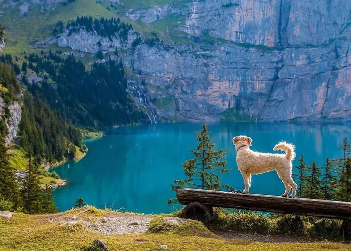 Zentral I 20min Nach Interlaken Apartament *