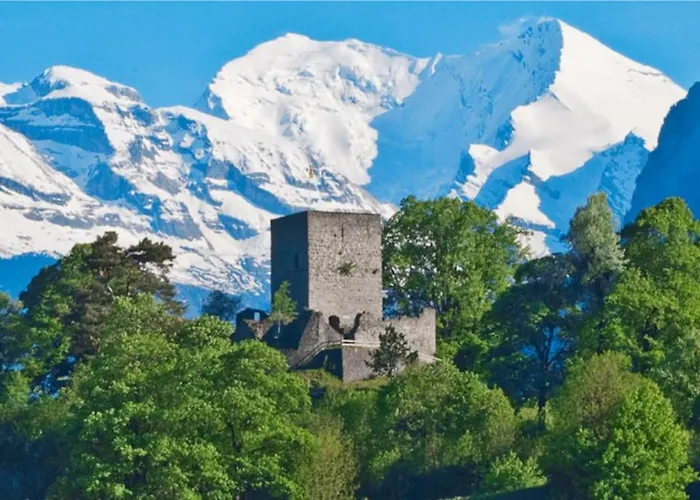 Zentral I 20min Nach Interlaken