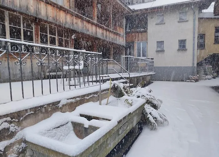 公寓 Zentral I 20min Nach Interlaken 弗鲁蒂根