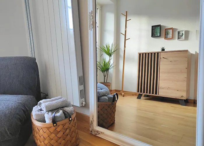 Zentral I 20min Nach Interlaken 弗鲁蒂根