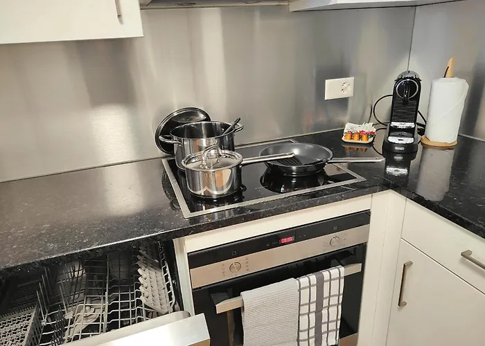 Zentral I 20min Nach Interlaken * 弗鲁蒂根