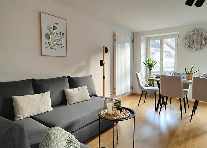 Zentral I 20min Nach Interlaken 公寓 弗鲁蒂根